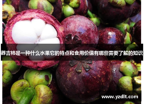 莽吉柿是一种什么水果它的特点和食用价值有哪些需要了解的知识